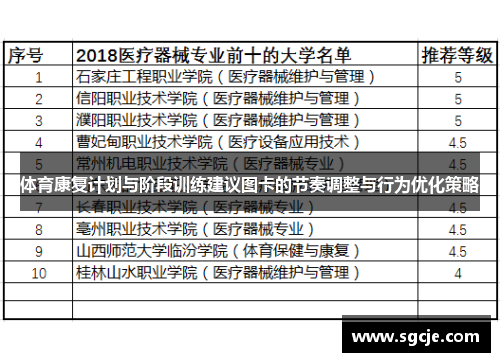 体育康复计划与阶段训练建议图卡的节奏调整与行为优化策略