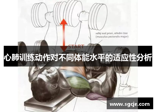 心肺训练动作对不同体能水平的适应性分析